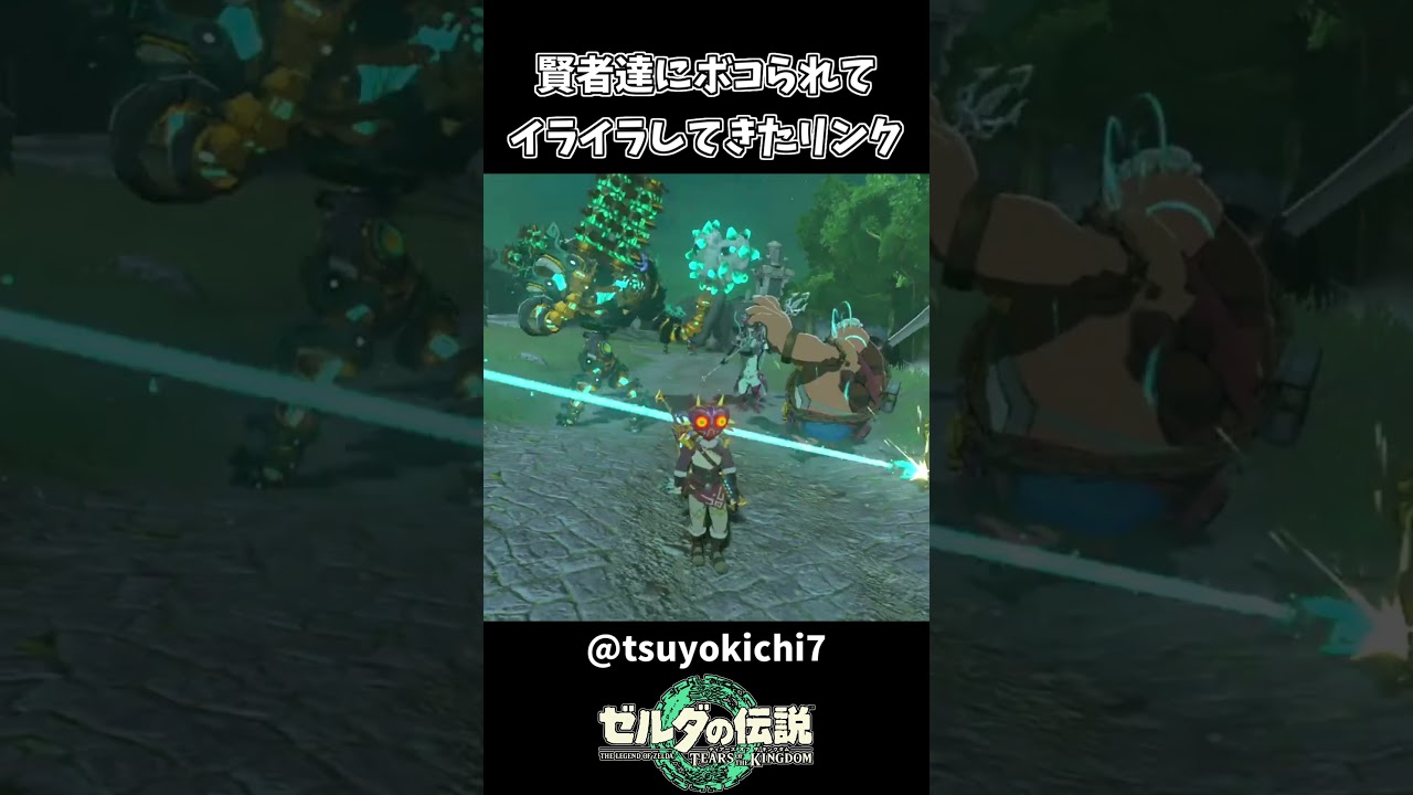 【ティアキン】賢者を連れ出したらボコられたリンク【ゼルダの伝説 ティアーズ オブ ザ キングダム】