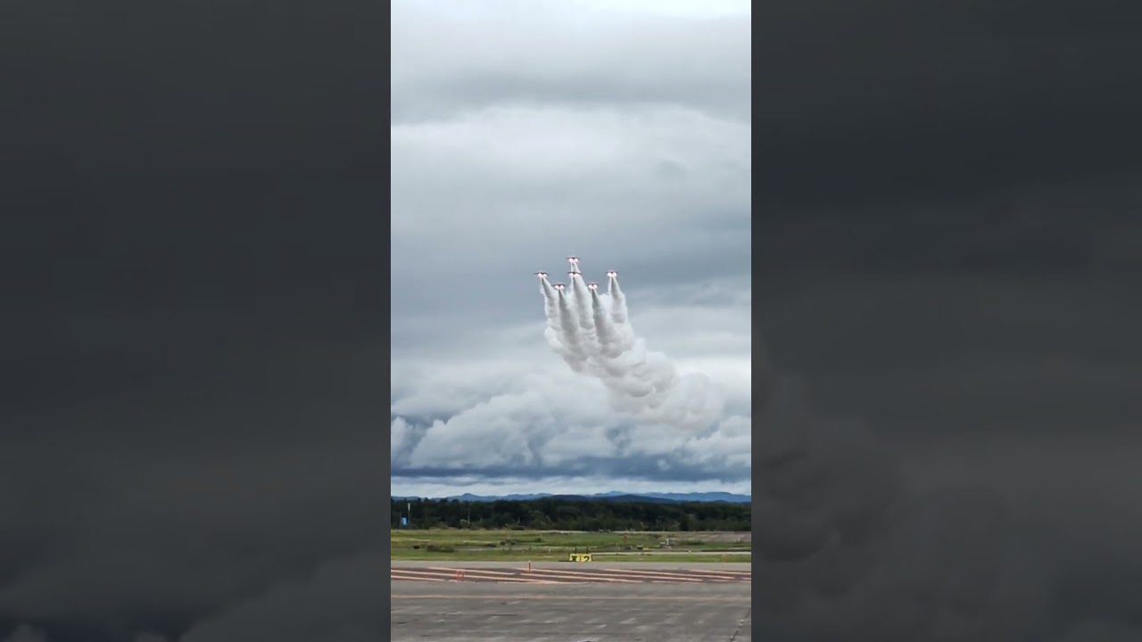 ワォ〜ブルーインパルスに興奮😳❤️#航空祭 #航空祭2024#ブルーインパルス #千歳基地 #千歳空港 #飛行機 #自衛隊 #shorts #shortvide