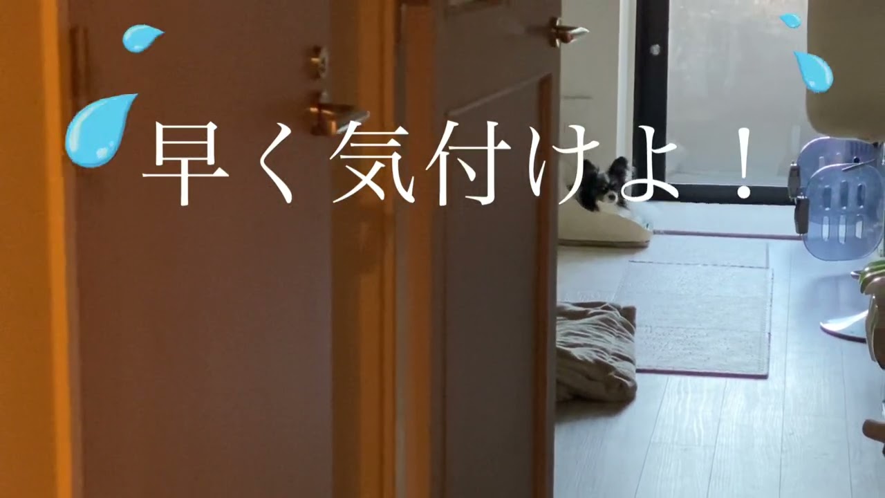 #shorts 名前わざと間違えてみた！
