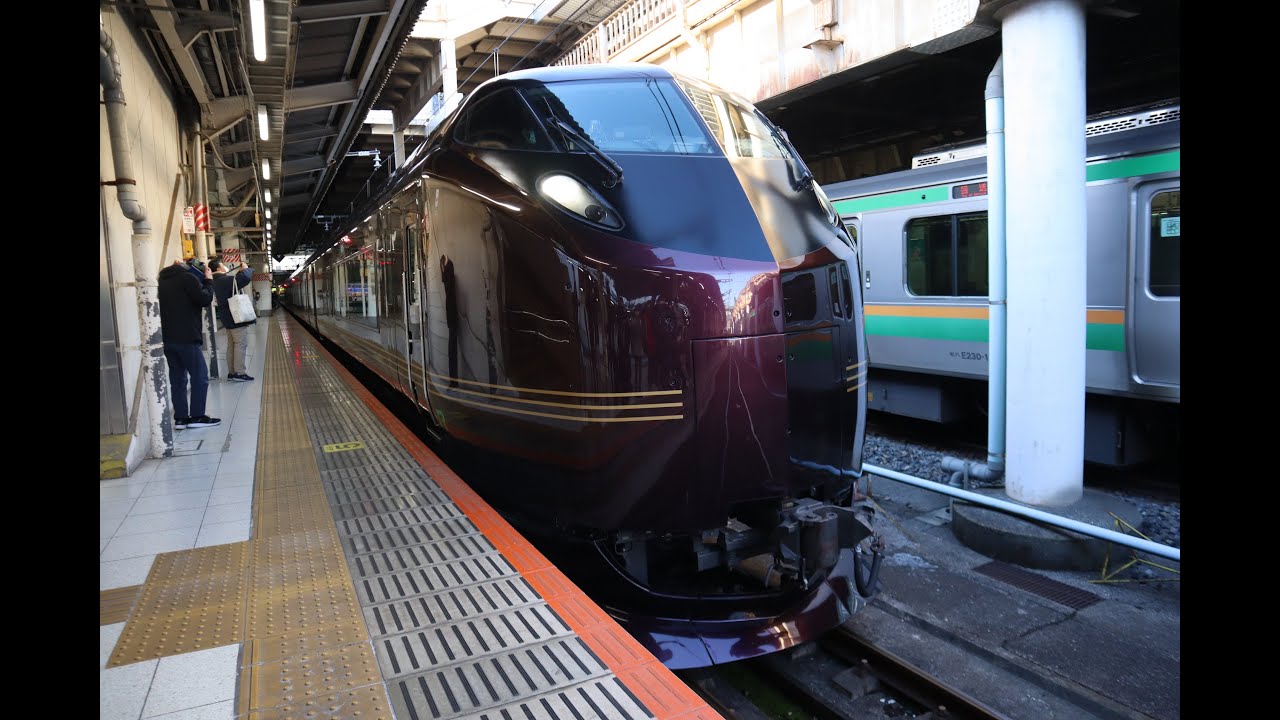 E655系「『和』横川行きで行く 碓氷峠鉄道文化むら日帰り旅」上野駅～横川駅 2024年1月27日