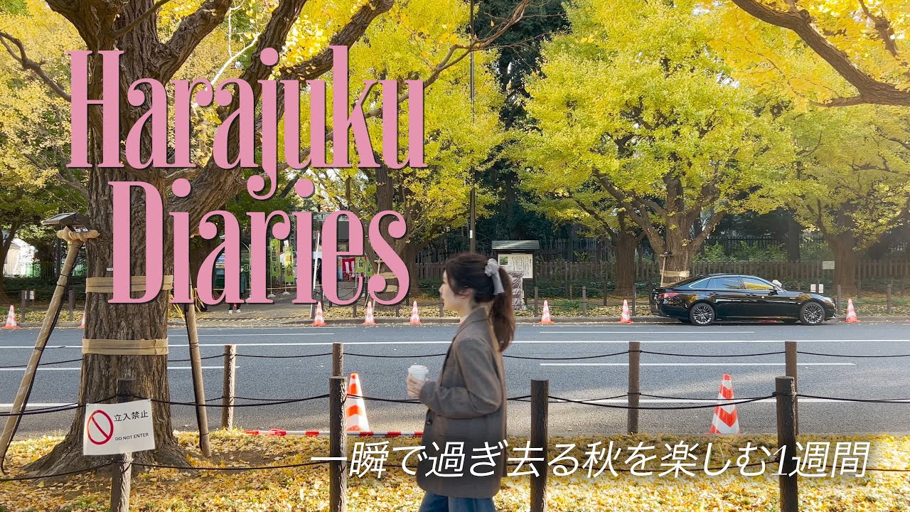 【vlog】一瞬で過ぎ去る秋を楽しむ方法🍁　I 　外苑のイチョウ並木　I 　朝活　映画　建築　ドライブ