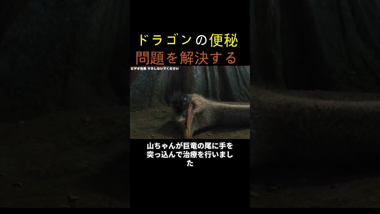 ドラゴンの便秘問題を解決する
