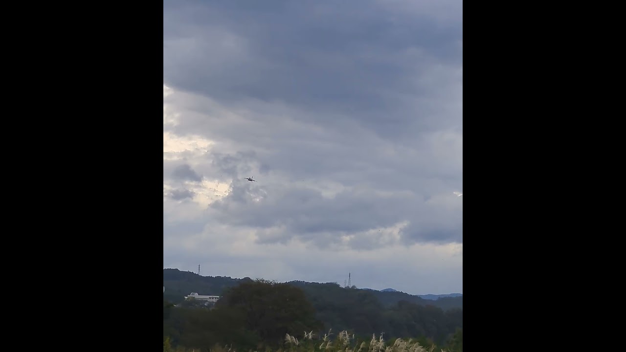 着陸する川崎T-4 #ラジコン飛行機 #ラジコン