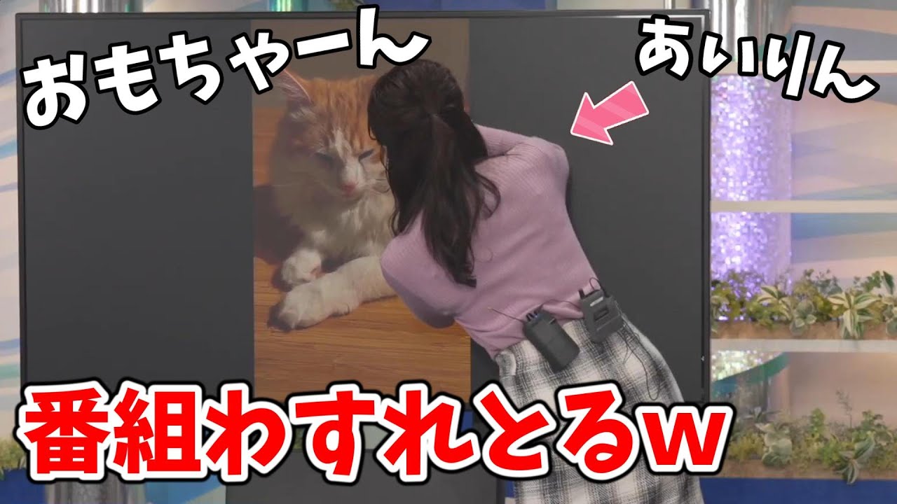 【山岸愛梨】番組を忘れてモニターの愛猫になでなでするあいりん【ウェザーニュース切り抜き】