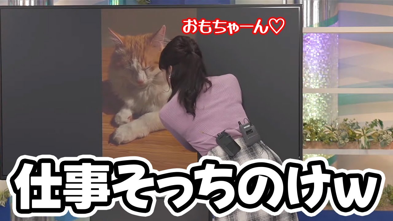 【山岸愛梨】愛猫おもちの動画を見つけ出しそれを紹介するも結果的に番組そっちのけで愛で始めるベテランお天気キャスター