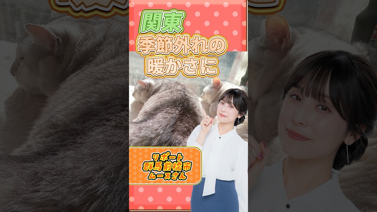 【暑い】 関東　午前中から20℃を上回っている地点も