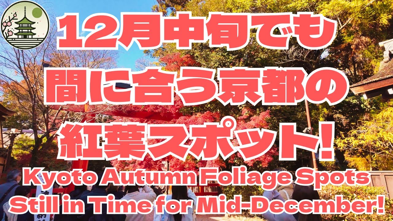 12月中旬でも間に合う京都の紅葉スポット見つけた！12月7日現在でも見頃なのに中旬も多分見頃です！