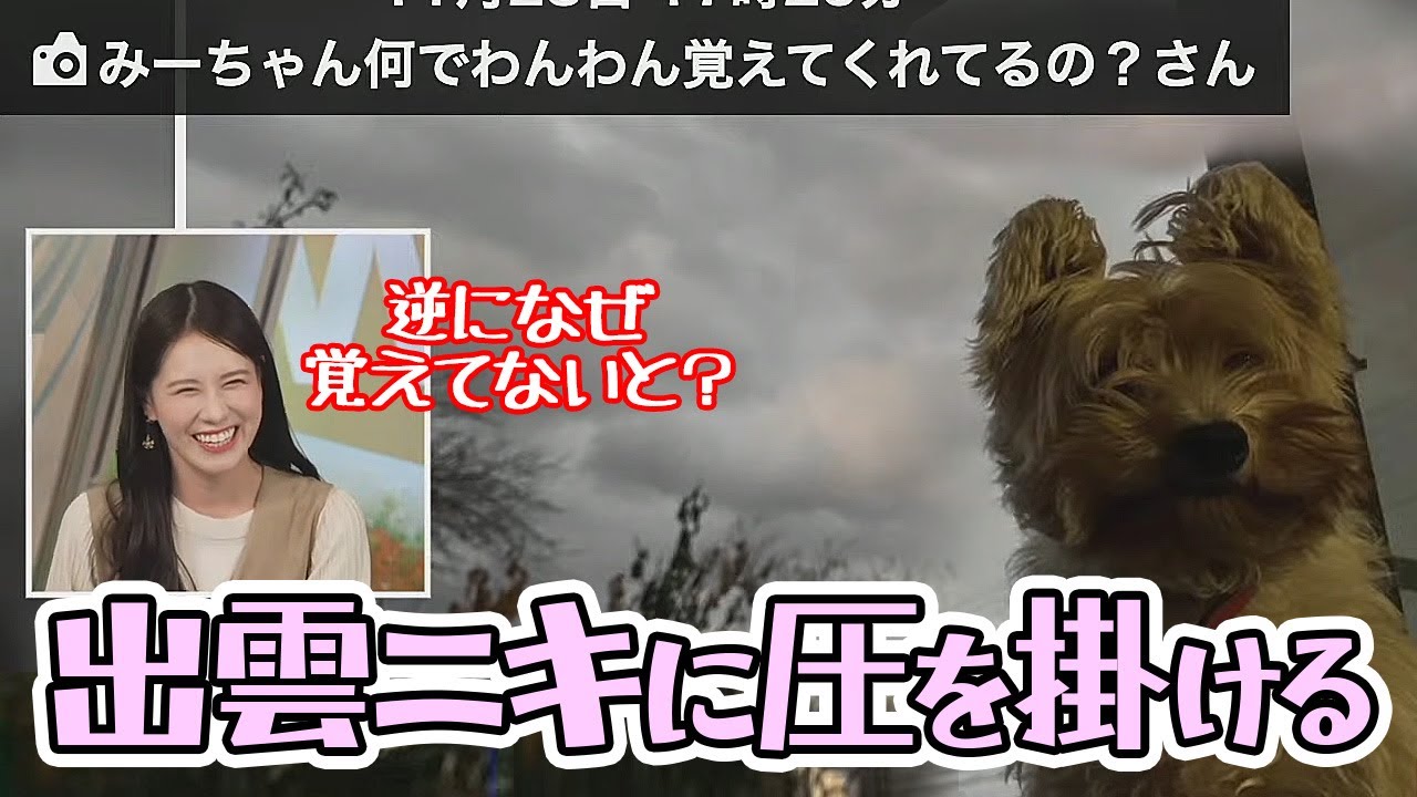 【戸北美月】出雲ニキ独特の名前を逆に利用して圧を掛けていくお天気キャスター【ウェザーニュース】