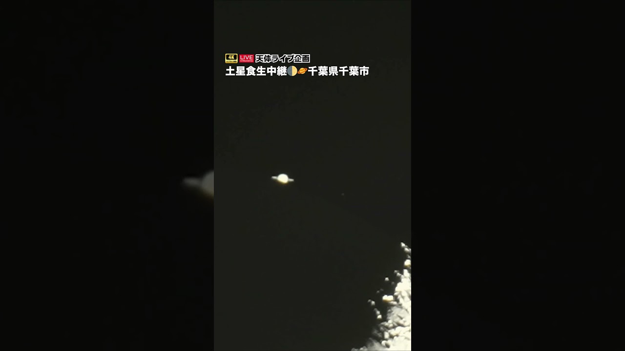 土星食2024 潜入の様子／千葉・幕張  #shorts