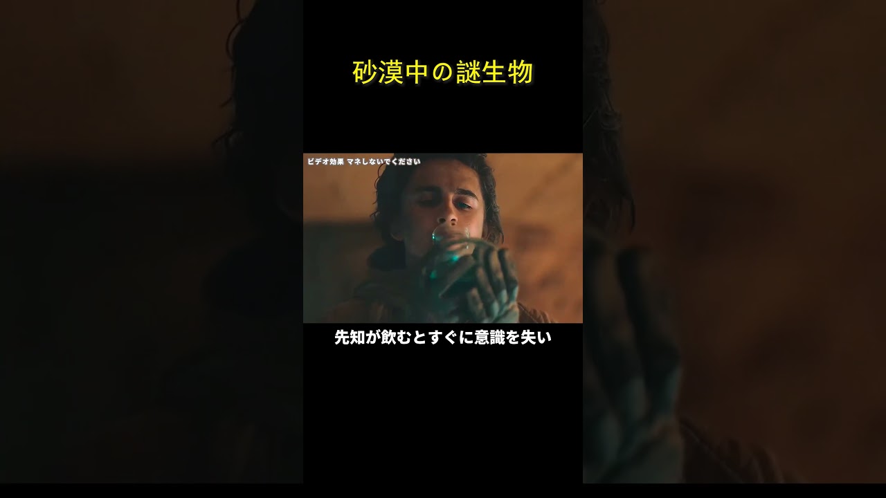 砂漠中の謎生物