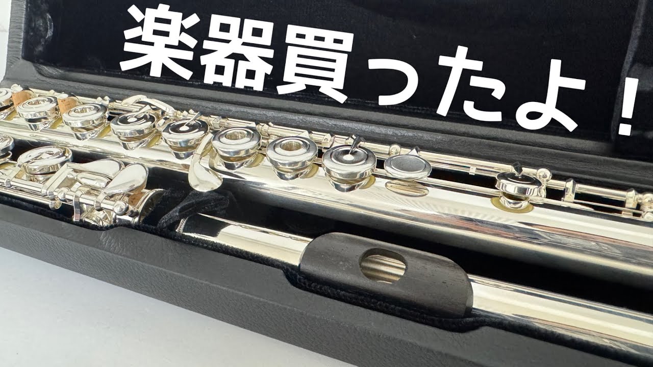 新しい楽器買ったよ！