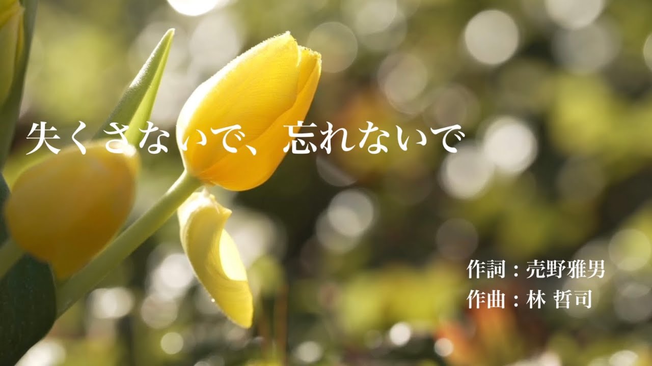 失くさないで、忘れないで　作詞：売野雅勇／作曲：林 哲司