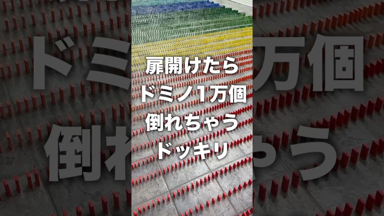 扉開けたらドミノ10000個倒れるドッキリwwwww