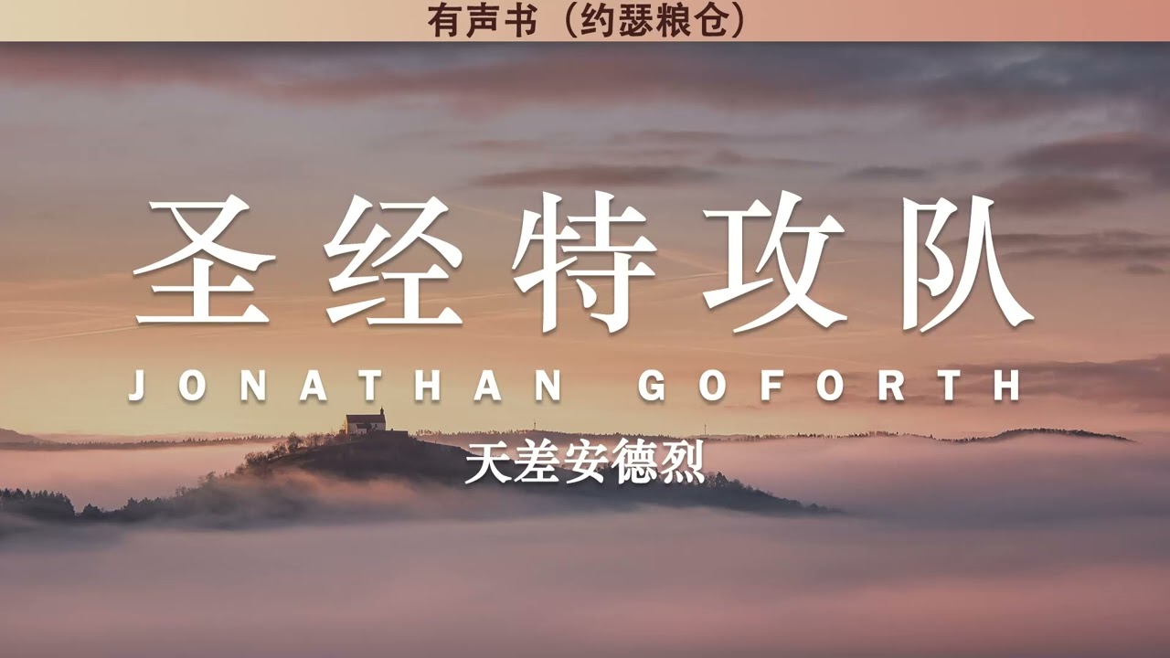 圣经特攻队 Gods Smuggler | 天差安德烈 | 有声书