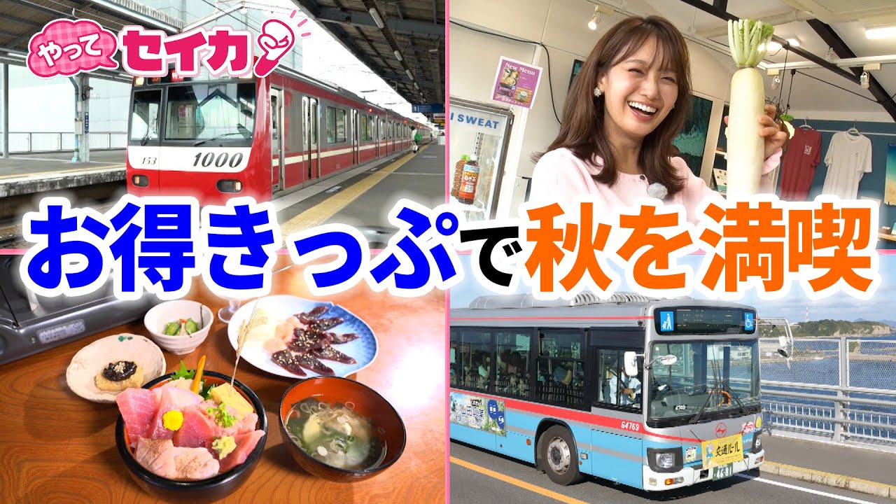 井上清華キャスターが"お得きっぷ"で行楽の秋を満喫トリップ！東京都心から約1時間の三浦・三崎エリアや横浜中華街で絶品グルメ堪能&中国の宮廷衣装で写真撮影などアクティビティ体験も【やってセイカ！】
