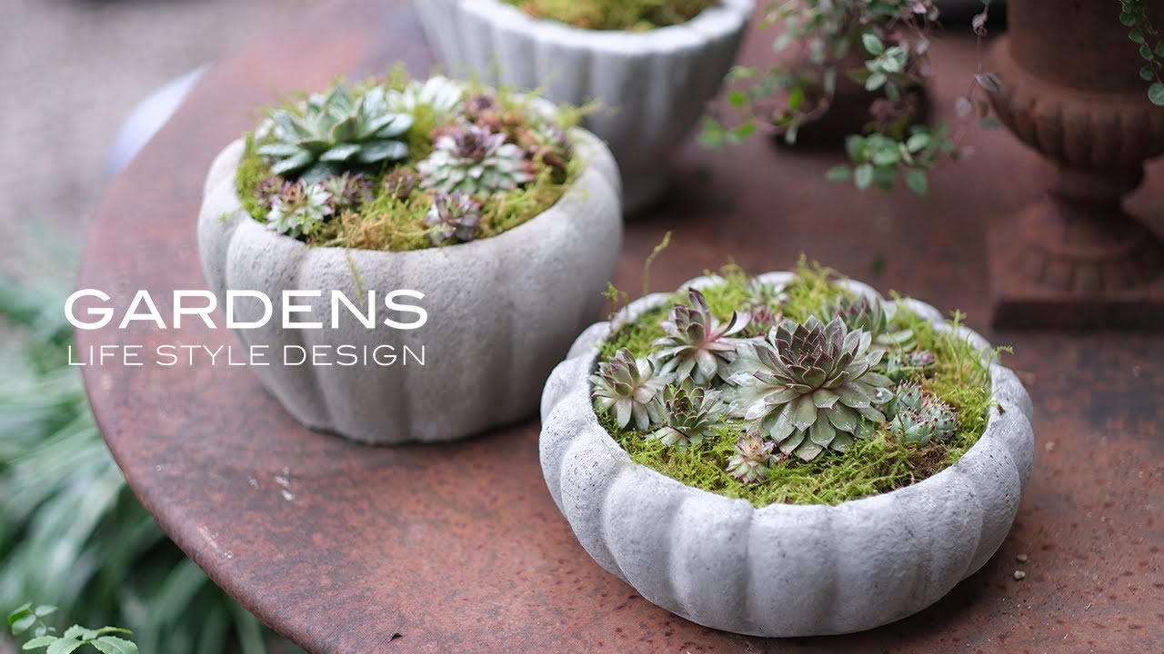 GARDENS 多肉植物の寄植え#2 | 北欧風の多肉植物の楽しみ方【ガーデンズ】