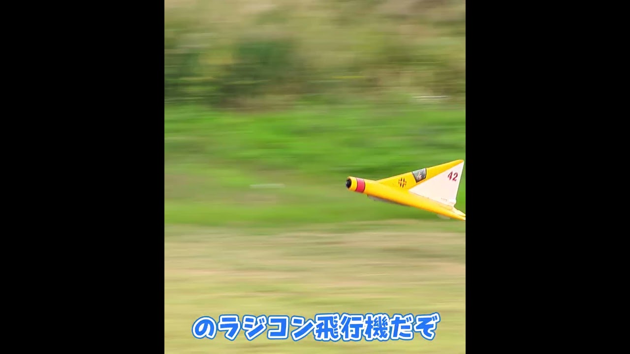 着陸に失敗するリピッシュ P.13a #ラジコン飛行機  #ラジコン