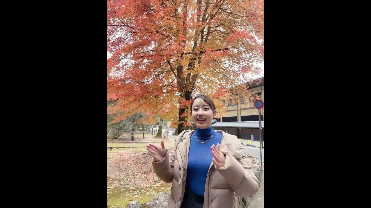 #shorts # #宮島北大路魯山人美術館 #魯山人 #河村綾奈 #宮島