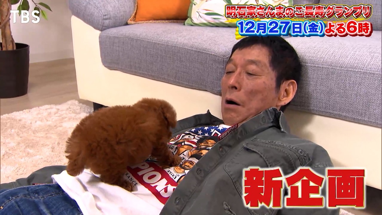 さんま､犬を飼う？激カワ子犬との出会い＆思い出の地で愛犬散歩『明石家さんまのご長寿グランプリ2024』12/27(金)【TBS】