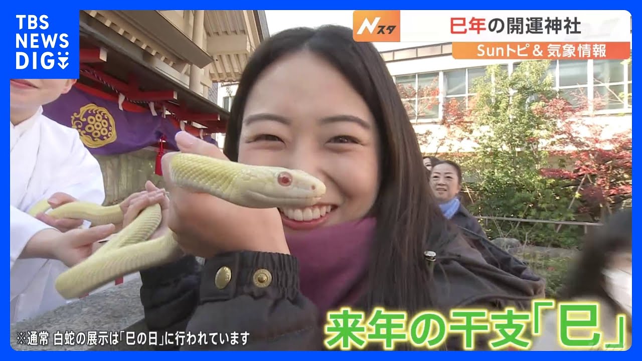 実はオススメ！「年末詣」【SUNトピ】｜TBS NEWS DIG