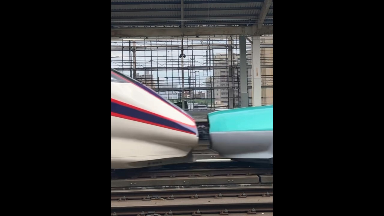 小山駅のはやぶさ&つばさ通過#東北新幹線#はやぶさ#つばさ#小山駅#shorts