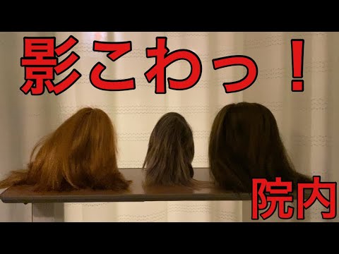 【柴犬飼い主54歳】2人部屋で3人います
