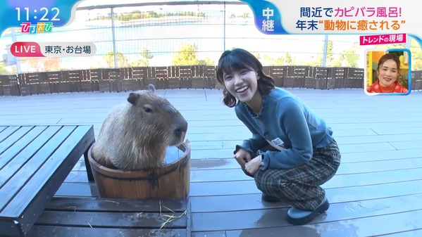 【画像】今日の御手洗菜々さん　12.6