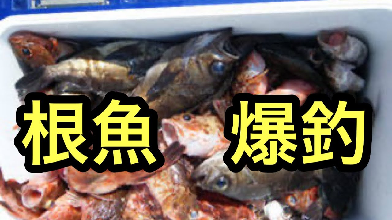 【柴犬飼い主54歳】オヤジ釣りに夢中！