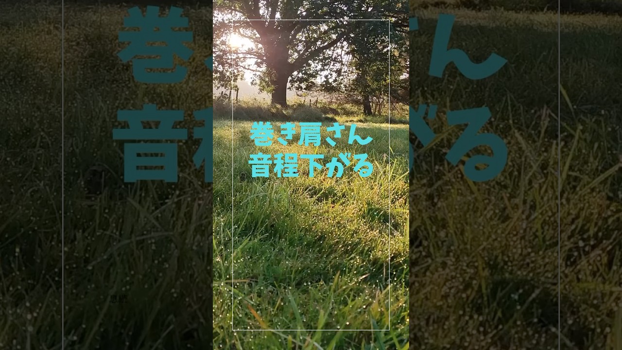 #short巻き肩さん音程下がる！
