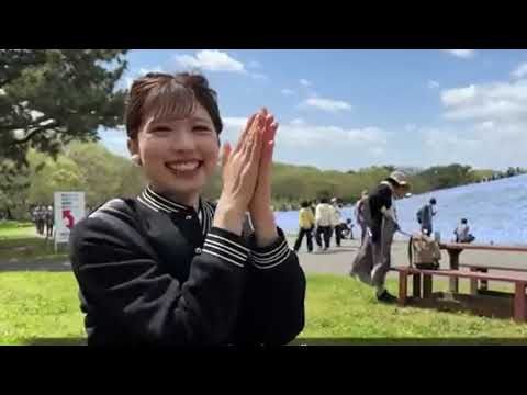 【可愛すぎるだろ！】小林李衣奈キャスターがネモフィラの花より可愛い