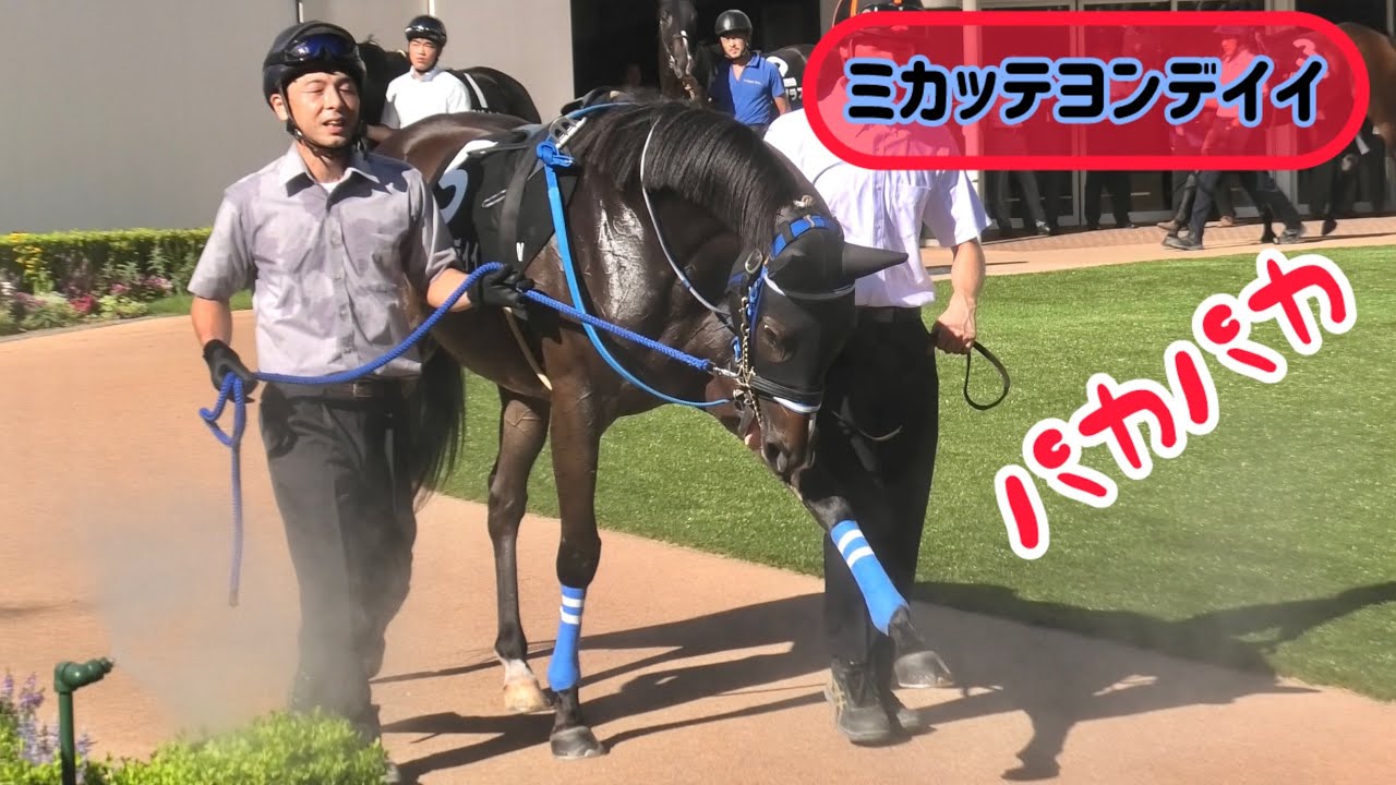 鳴り響くパカパカ音❗️ミカッテヨンデイイのドゥラメンテ歩きがハンパなかった❗️😳