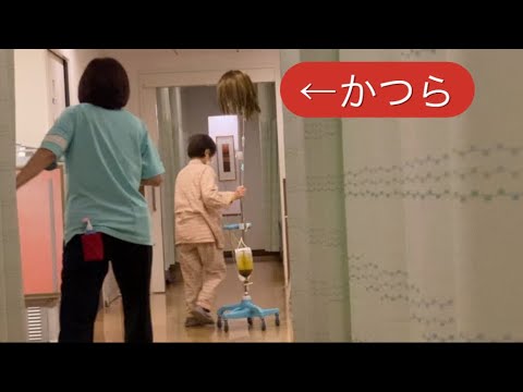 【柴犬飼い主54歳】おじさんガチ怒られる！