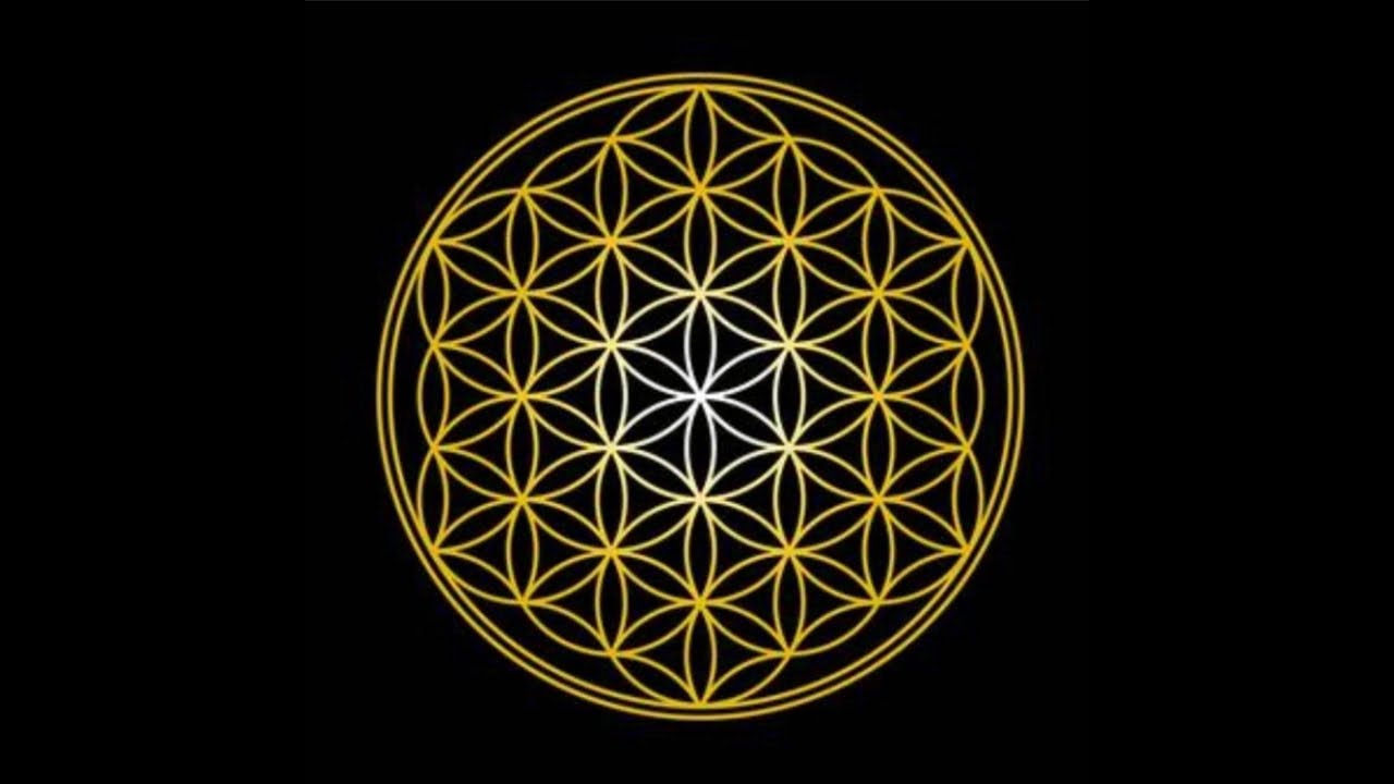 帰宅しました❗️少しだけ