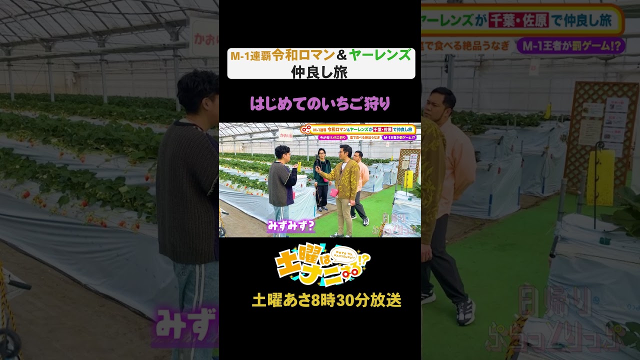 【はじめてのいちご狩り】M-1連覇令和ロマン＆ヤーレンズ仲良し旅 #土曜はナニする！？ #土ナニ #令和ロマン #ヤーレンズ #shorts