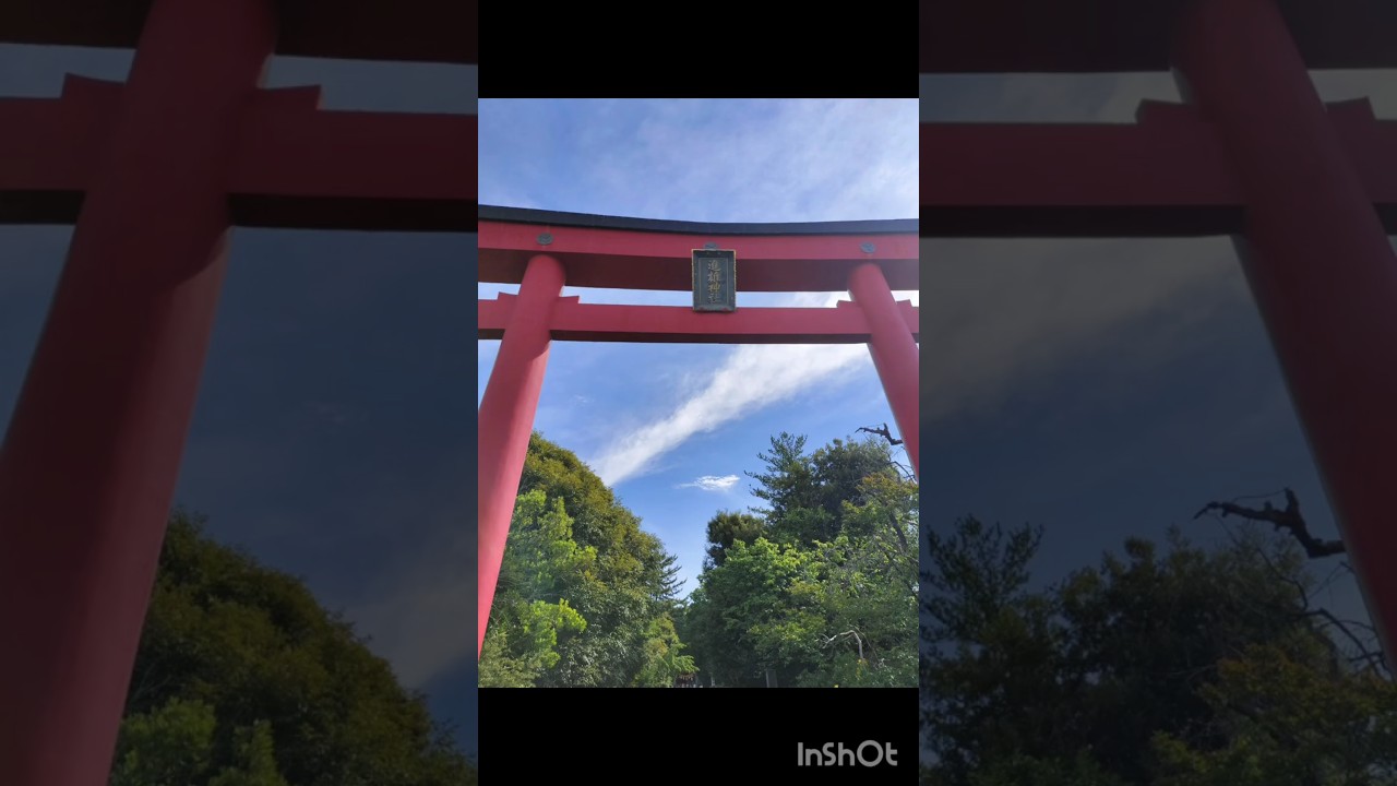 #進雄神社#群馬#高崎#孔雀#白孔雀#神の使い#スサノオ