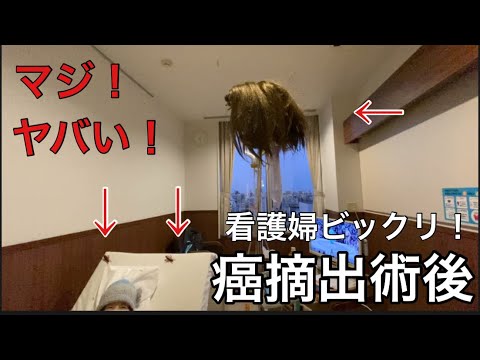 【柴犬飼い主55歳】10時間手術に耐えた下町のスーパー婆さん！