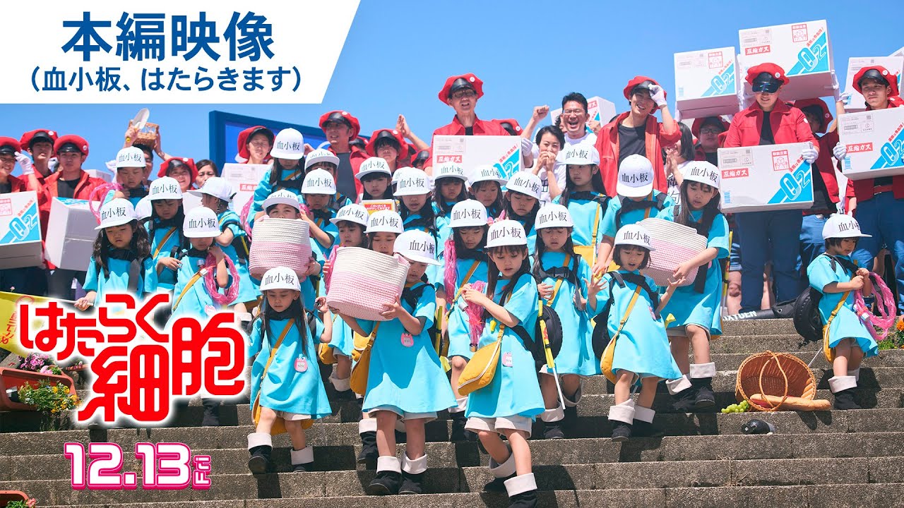 血小板、はたらきます！映画『はたらく細胞』本編映像 2024年12月13日（金）公開