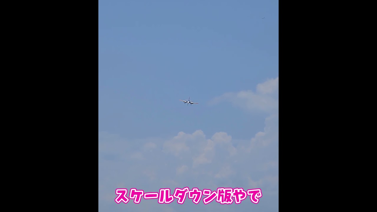 ラジコン飛行機の着陸  #ラジコン #ラジコン飛行機 #着陸