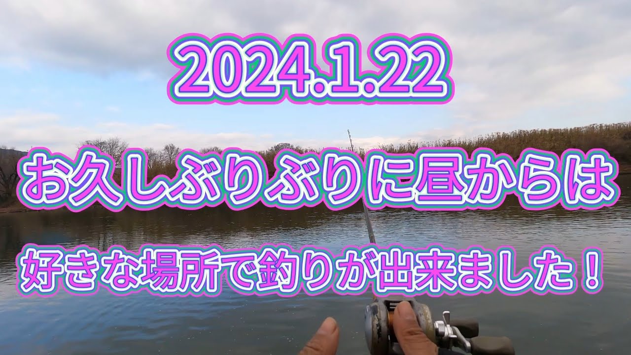 2025.1.22やっと平和になってきたような？宇治川ブラックバス釣り！