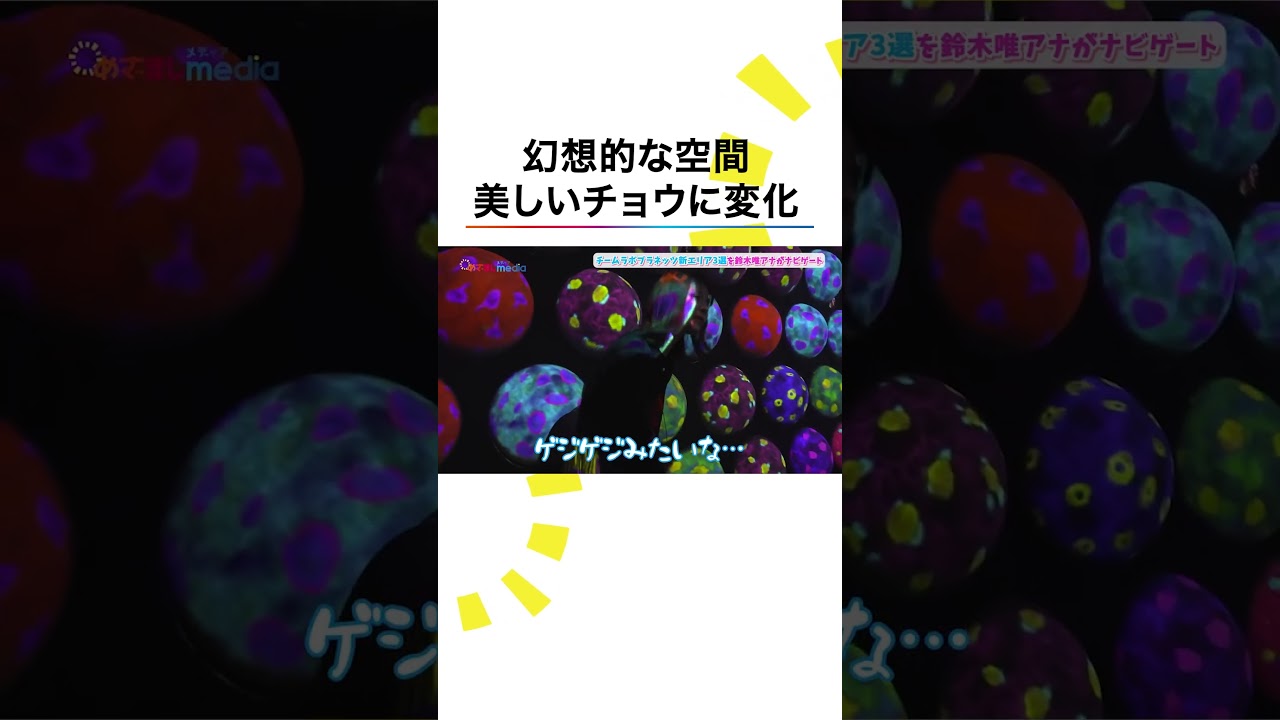 本編こちら👆#チームラボ 新エリア #鈴木唯 #めざましテレビ #shorts