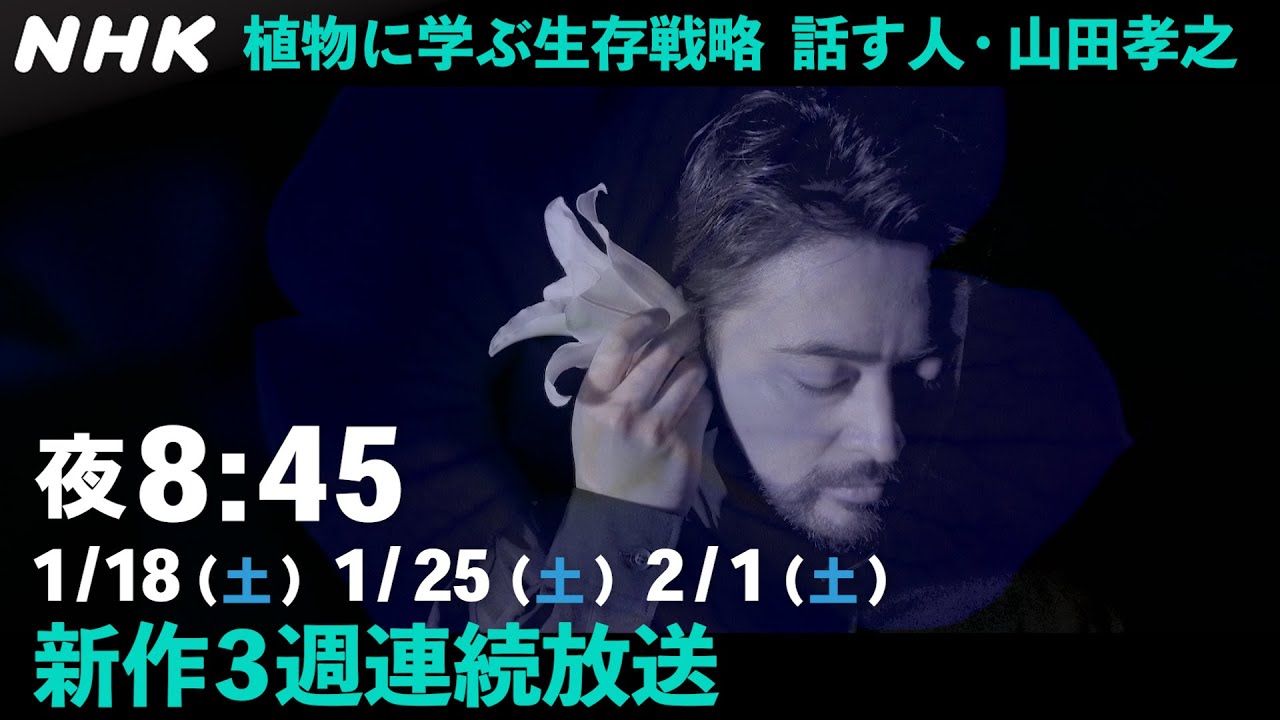 新作！植物に学ぶ生存戦略 話す人・山田孝之 10,11,12 (15分×3週連続放送) | NHK