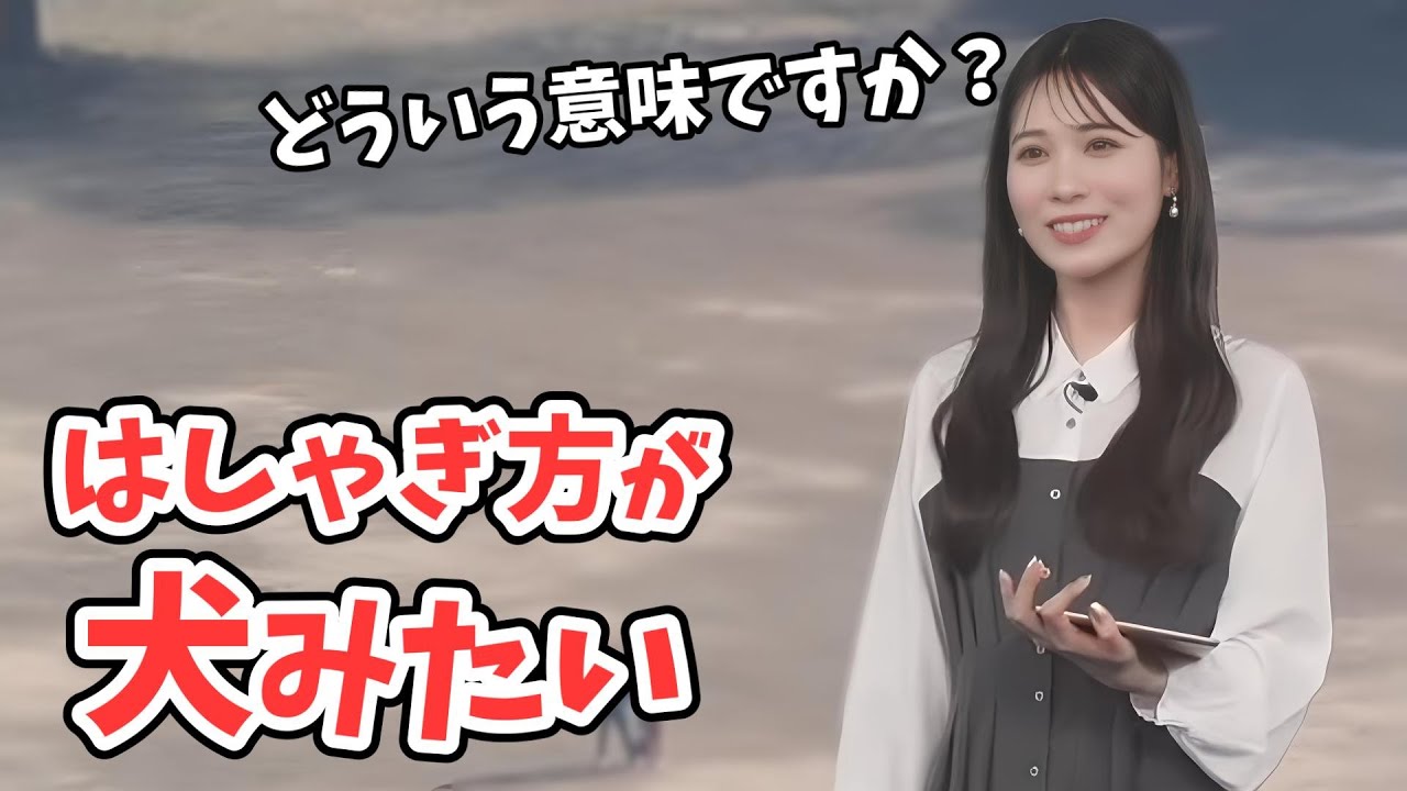 【戸北美月】謎の遊びを夢中で見るみーちゃん！スタッフさんから犬みたいと言われる【ウェザーニュース切り抜き】