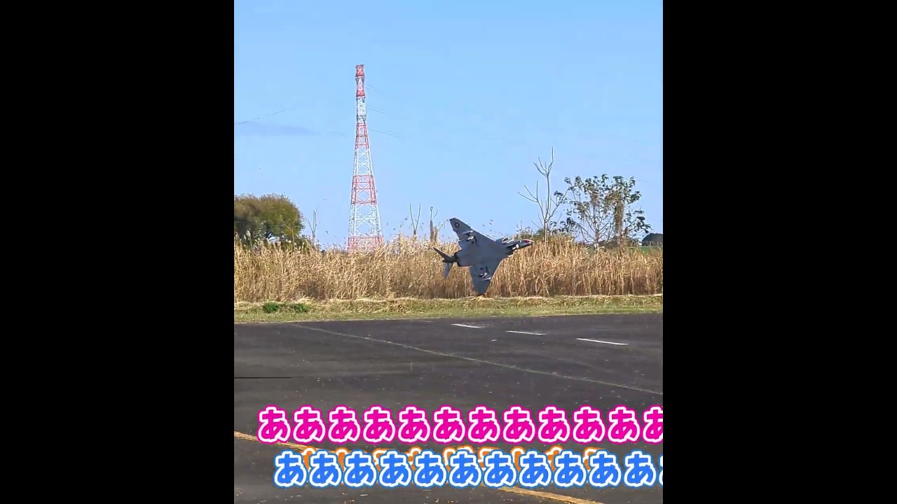 着陸に失敗するラジコン飛行機