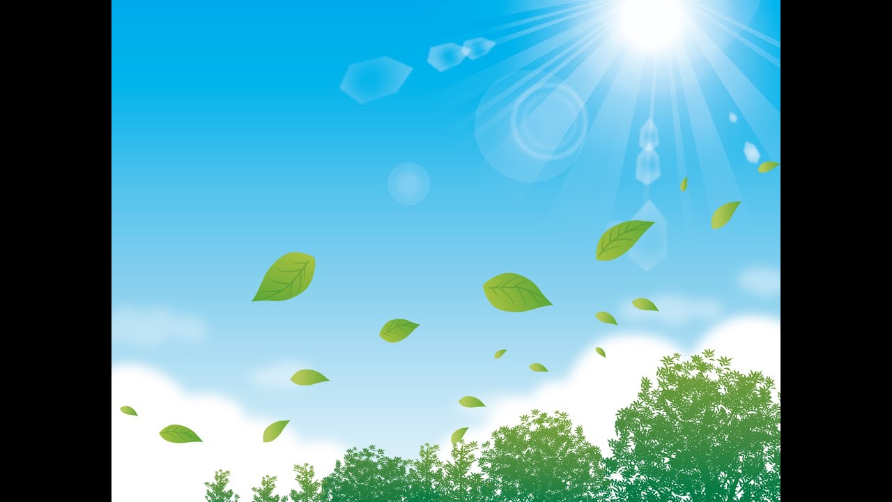 風がはこぶもの　歌：向井智子