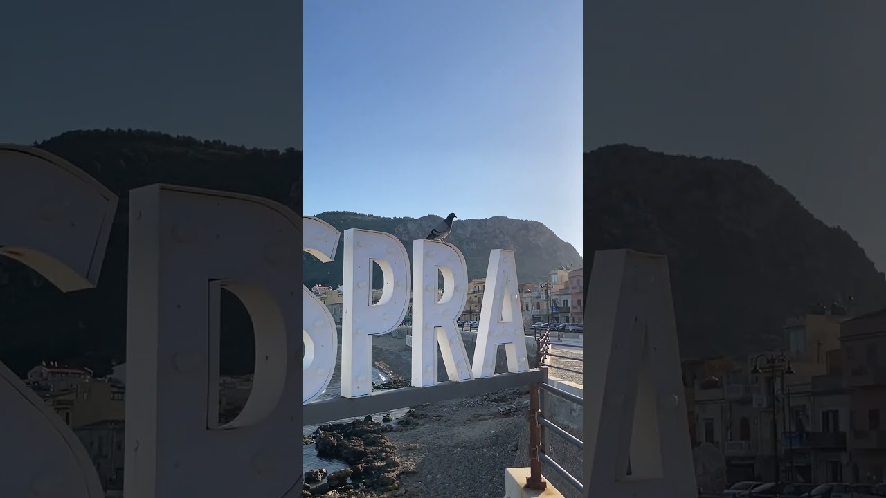 平和な朝🕊️☀️#shortsvideo #shortvideo #shorts #short #sicily #sicilia #シチリア#シチリア島 #イタリア #海#海外 #海外旅行 #ビーチ