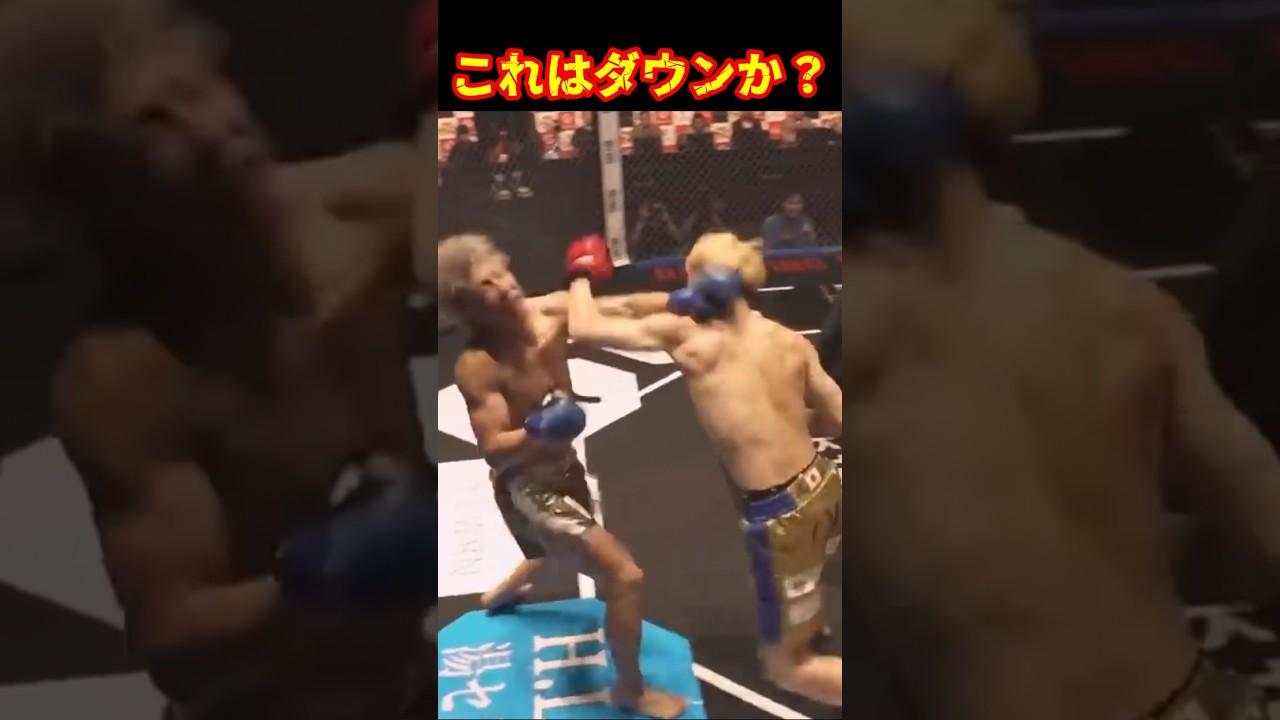 激アツ！冨澤大智vs井原良太郎#ブレイキングダウン12 #井原良太郎 #冨澤大智 #shorts