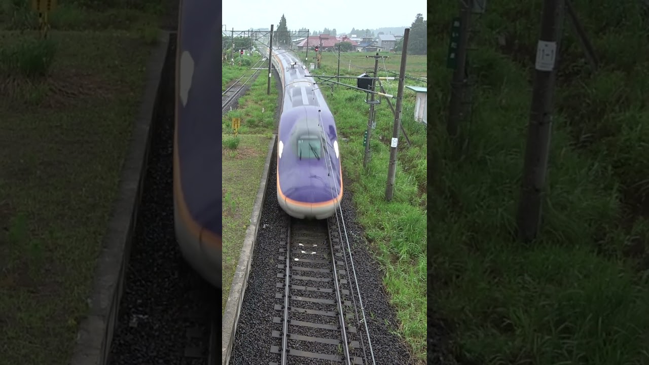 山形新幹線 E8系 つばさ　単線区間の無人駅で上下列車が行き違い #shinkansen
