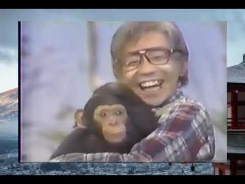 とんねるずのみなさんのおかげです 1990年10月25日OA2