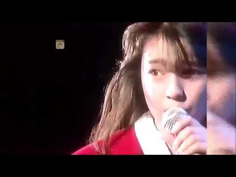 伊藤美紀UBU山田修司山田園江東江美鶴代マクロス花咲徳栄高等学校乙女塾電人ザボーガー特撮高野二郎高井麻巳子松居直美三田寛子コブクロ高橋由美子杉山清貴永井真理子吉沢秋絵岡本真夜市川由紀乃