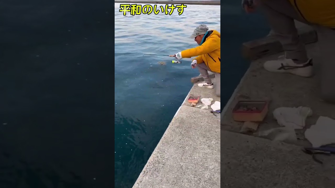 #釣り#平和#平和のいけす#瀬戸内海